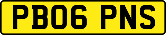 PB06PNS