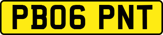 PB06PNT