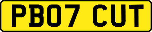 PB07CUT