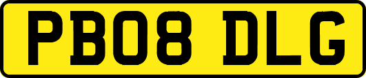 PB08DLG