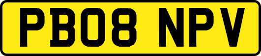 PB08NPV