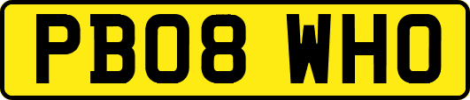 PB08WHO