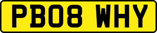 PB08WHY