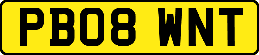PB08WNT