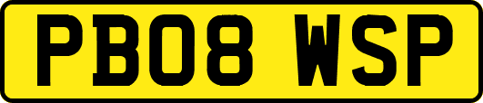 PB08WSP