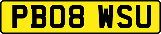 PB08WSU