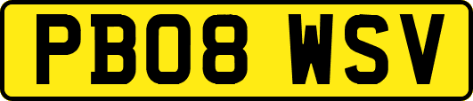 PB08WSV