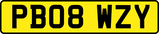 PB08WZY