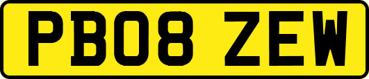 PB08ZEW