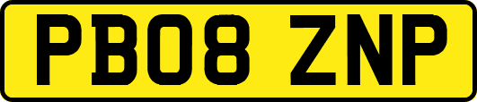 PB08ZNP