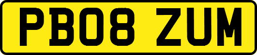 PB08ZUM