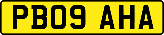 PB09AHA