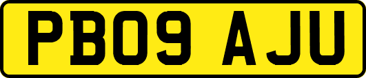 PB09AJU