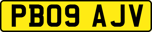PB09AJV