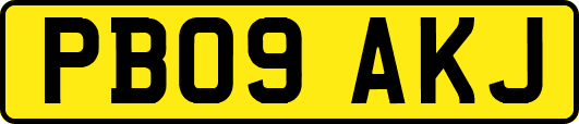 PB09AKJ