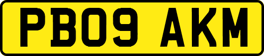 PB09AKM