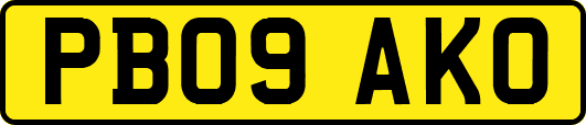 PB09AKO