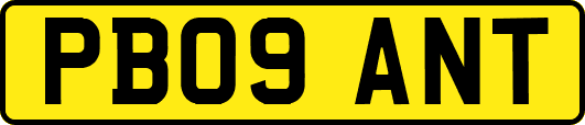 PB09ANT