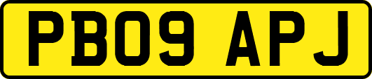 PB09APJ