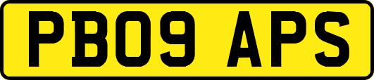 PB09APS