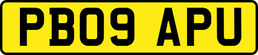 PB09APU