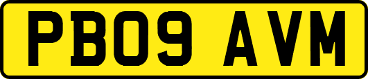 PB09AVM