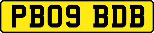 PB09BDB