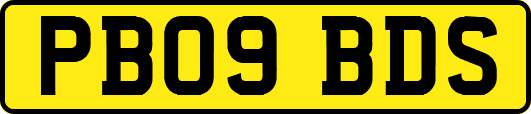 PB09BDS