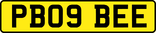 PB09BEE