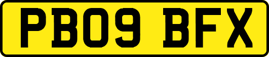 PB09BFX