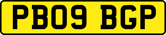 PB09BGP