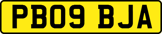 PB09BJA