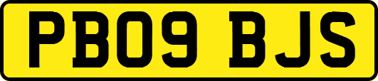 PB09BJS