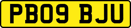 PB09BJU
