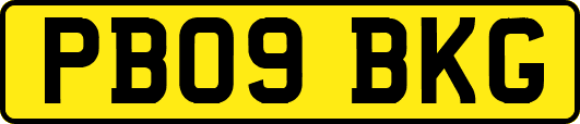 PB09BKG