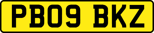 PB09BKZ