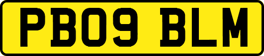 PB09BLM
