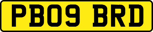 PB09BRD