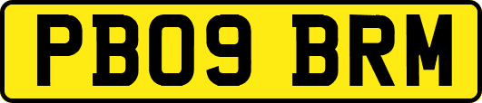 PB09BRM