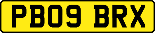 PB09BRX