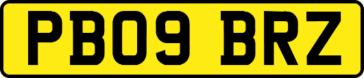 PB09BRZ