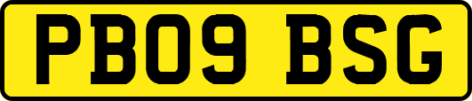 PB09BSG