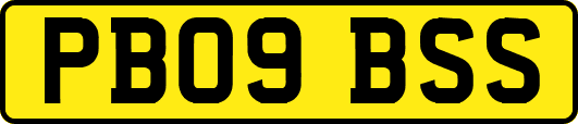 PB09BSS