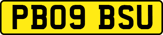 PB09BSU