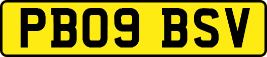 PB09BSV