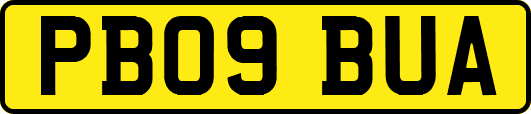 PB09BUA