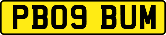 PB09BUM