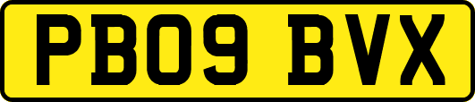 PB09BVX