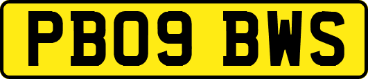 PB09BWS