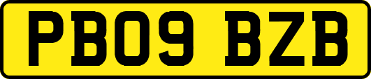 PB09BZB